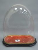 A Victorian glass dome on ebonised base, height 39 cm, width 32 cm.