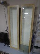 A pair of contemporary display cabinets