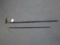 A late Victorian walking cane with carved horn terminal modelled as a hound's head,