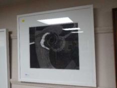 Contemporary school : Dark Garden, charcoal and watercolour.