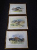 Three framed watercolour and pen and ink drawings depicting rural mountain landscapes