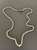 Antique strap of pearls with white gold and diamond clasp