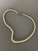 Fine quality strap of graduated pearls on a white gold diamond clasp