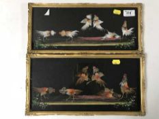 Two feather cockfighting pictures in gilt frames