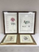 Four framed limited edition Bauer prints - flowers,
