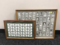 Set of framed Player's cigarette cards - Grand National Winners,