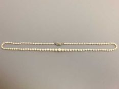Antique strap of pearls with white gold and diamond clasp
