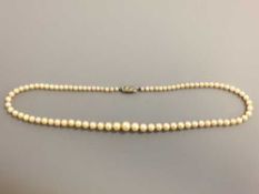 Fine quality strap of graduated pearls on a white gold diamond clasp