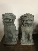 A pair of garden Foo dog figures