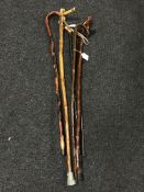 Six vintage walking sticks (6)