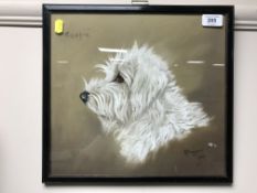A framed chalk drawing of a dog entitled Crispin,