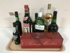 A tray of nine bottles of alcohol - Gordons Gin, Bacardi, Remy Martin,