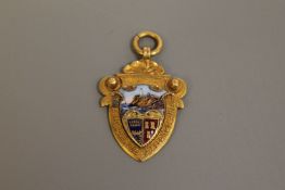 A 9ct gold enamelled Tyneside football medal, 9.