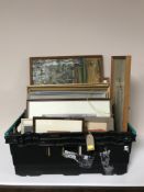 A box of assorted pictures and prints - wildlife, fauna,