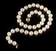 A freshwater cultured pearl, single-string necklace: with 39 individually knotted,