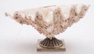 A small clam shell dish: mounted on a Continental silver base, stamped marks, 20cm. wide.