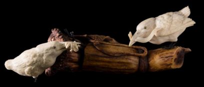 Miura Ryuzaburo (1868-1919) A carved ivory okimono of two Kingfishers: perched on a carved antler