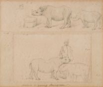 William Strutt [1825-1915]- Young Rhino with a Keeper,:- pencil drawing, inscribed 21 x 25cm,