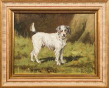 George Paice [1854 - 1925]- A terrier called Rake: signed and inscribed oil on board 22 x 29cm.