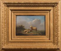 Auguste Coomans [late 19th Century]- Sheep in a wetland meadow:- signed bottom left oil on panel 18
