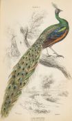 JARDINE, Sir William - The Naturalist's Library : 14 vols, BIRDS, 419 hand coloured plates,