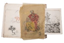 JAPANESE : Natural history pattern book hand painted on 20 leaves, 8vo, plain paper covers, c1900s.