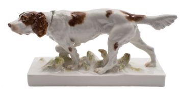 A Meissen porcelain model of an Irish red and white setter: in pointing pose with one front leg