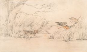 Samuel Henry Alken [1756-1815]- Snipe, Pheasant, Duck, Partridge,