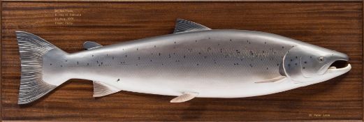 A contemporary half model of a salmon:,
