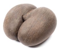 (Lodoicea) Coco du Mer:,