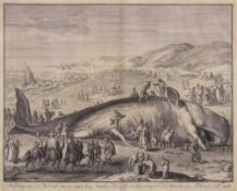 After Gillem van der Gouwen- Stranded sperm whale at Katwyk, 1598,:- an engraving,