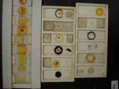 An accumulation of microscope slides, various subjects including Bacteriological and others :,