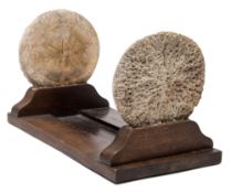 An early 20th century whale vertebrae mounted book slide:,