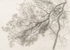 * Dame Laura Knight [1877-1970]- Tree study,