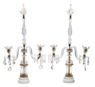 A pair of 19th century glass and gilt metal twin branch table lights: the central single nozzle