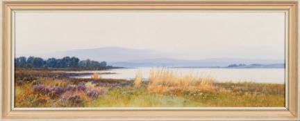 Frederick John Widgery [1861-1942]- The Purbeck Hills Studland;
