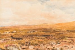 Thomas Collier [1840-1891] - Dartmoor; an extensive landscape with sheep,