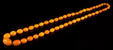 A graduated amber bead single-string necklace: comprising 49 individually knotted,