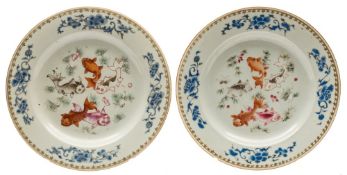 A pair of Chinese porcelain plates: decorated in coloured enamels with five carp amongst weeds
