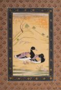 Four Mohgul watercolours depicting assorted birds: including Ducks, Hawk, Vulture and Peacocks,
