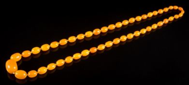 A graduated amber bead single-string necklace: comprising 49 individually knotted,