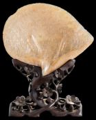 A pair of Chinese carved abalone shells: decorated with figures in a village landscape,