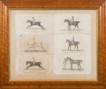 EQUESTRIAN : A set of six equestrian prints, In attractive bird's eye maple frame, c 1820s.