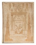 ROBINSON, Charles (illustrator) - The Sensitive Plant By Percy Bysshe Shelley,: illust, inc.