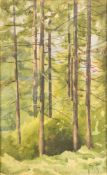 Thomas Cooper Gotch [1854-1931]- Pine Trees; near Penwith:- initialled, watercolour,