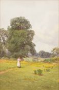 Ethel Davies [fl.