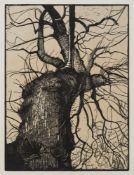 * Christopher Bramham [b.