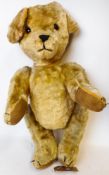 A small golden plush Teddy bear: with rounded wide-apart ears, glass eyes,