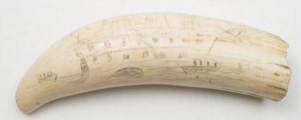 A 19th century scrimshaw tooth:, incised with a ship-of-the-line, 19cm long .