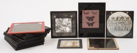 A group of twelve autochrome slides of an English family in their house and garden:,